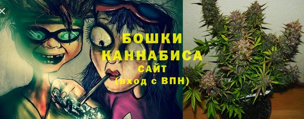PSILOCYBIN Киренск