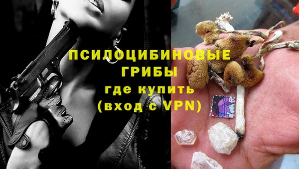 PSILOCYBIN Киренск