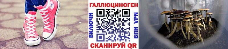 Галлюциногенные грибы прущие грибы  Катайск 